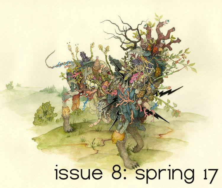 18057953_10210263722370607_4985266520994848969_n